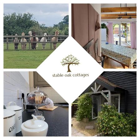 Oak Cottage With Private Log Fired Hot Tub Μέιντστοουν Εξωτερικό φωτογραφία